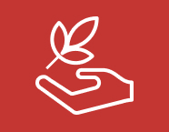 Agricultural Machinery